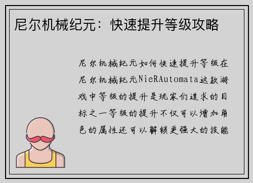 尼尔机械纪元：快速提升等级攻略
